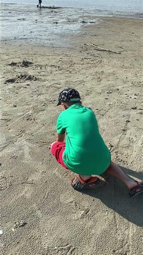 Cách bắt dã tràng là bò nhẹ, nói khẽ, cười duyên
