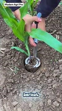 Secrets of Successful Farmers! Unique and Creative Farming Techniques You Didn't Know