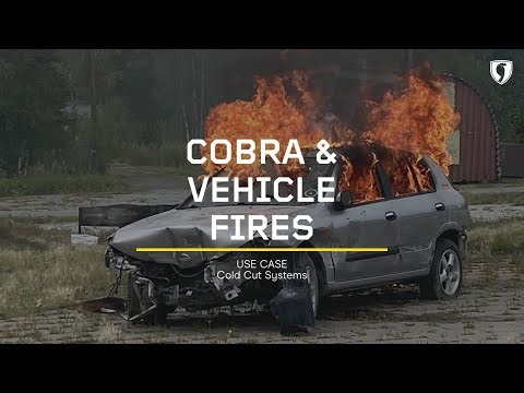 Cobra & Vehicle Fires