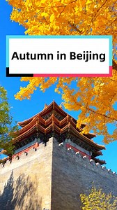 In Beijing, #autumn turns every view into poetry and every fleeting moment into the epitome of Chinese aesthetics. #WanderBeijing #AutumnInBeijing #scenery | Discover Beijing
