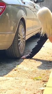 187K views · 4K reactions | TikTok Wigofellas PRANKS on MOM - Wigofellas PRANKS on Girlfriend - Wigofellas Funny Videos DAY 64 #fanpage #WigoFellas #funny #challenges #tiktok #comedy #entertainment #prank | WigoFellas Fan | Facebook