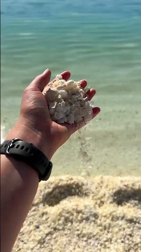 🐚 A Beach Made ENTIRELY of Shells?! 🤯 | Western Australia