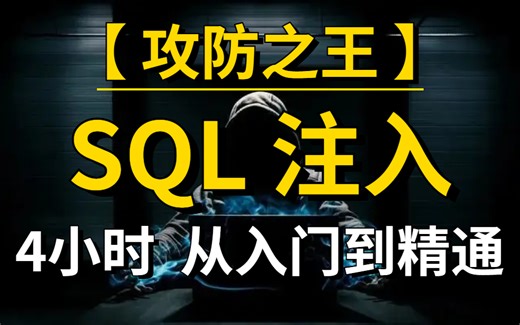 黑客入侵网站后台的秘密—SQL注入，9小时纯小白也能学明白的黑客技术！带你直接入狱级操作