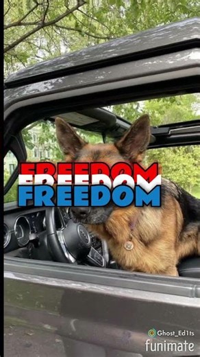 These kids have been through a LOT #youngauthor #mywriters #wip #yaseries #yacontemporary #booktok