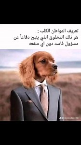 Libyan Live Stream ليبيا بث مباشر on Reels