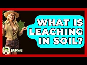 What Is Leaching In Soil? - The Plant Enthusiast