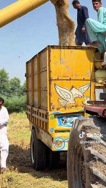 Essential Guide to Efficient Rice Harvesting Techniques