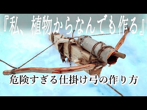 【アイヌ民族の仕掛け弓が作れた】弓の作り方を応用したら作れる｜狩猟の罠で危険すぎて禁止になった訳