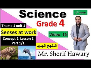 SCIENCE | Grade 4 | Senses at work | Unit 1 - Concept 2 - Lesson 1