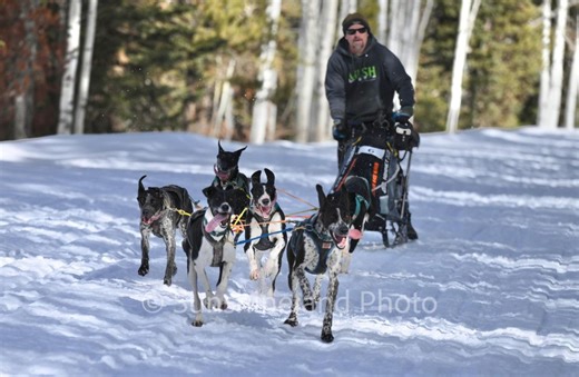 Utah hosts first ever dog sled race in Uinta Mountains amidst snow shortage