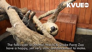 12K views · 172 reactions | Animal World & Snake Farm Zoo is now...