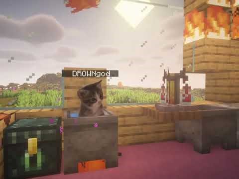 Minecraft Cats 😺 | Funny Moments Compilation