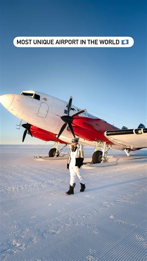 4K views · 13 reactions | Wolf’s Fang is a private, specially...