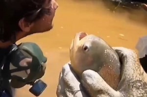 barber teeth😱😱😱 | CarpStore