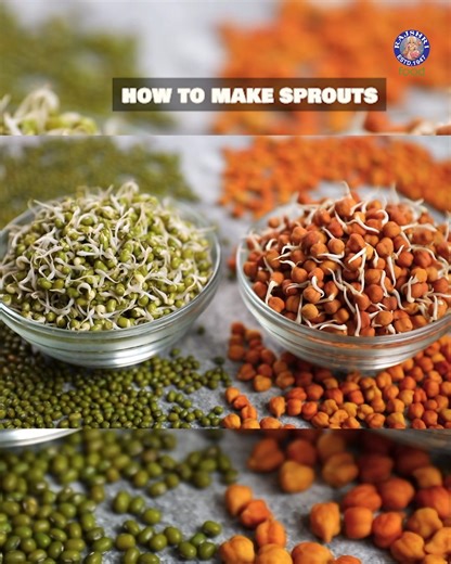 41K views · 247 reactions | Learn how to make nutritious Sprouts at home with Chef Ruchi!  This simple method unlocks a powerhouse of goodness. Host: Ruchi Bharani Ingredients: Sprouting Process Whole Mung Beans Whole Bengal Gram Water 2 Easy Methods Of Sprouting Sprout Maker How To Store Sprouts Copyrights: REPL #SproutingMethods #HowToSproutPulses #HomeCooking #EasyRecipe #Nutrition #AnybodyCanCookWithRajshriFood | Rajshri Food | Facebook