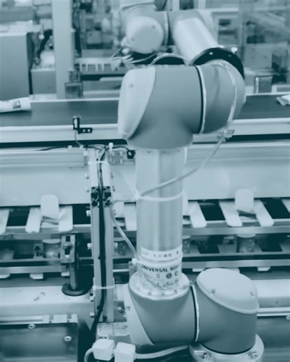 This FMCG manufacturer boosted hourly output by 30% with cobots – and kept production flexible, even with staff shortages. 🦾 Discover how automation keeps you ahead when resources are tight! | Universal Robots