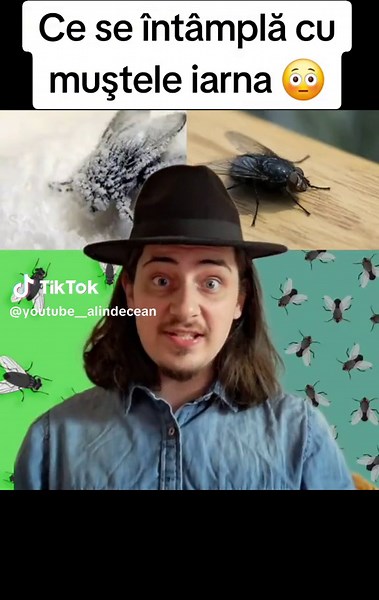 #foryou #foryoupage #fyp #stiaica #curiozitati #invatapetiktok #edutok #real #science #alinutzudecean