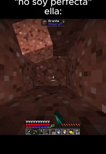 Minecraft perfecta meme explained: funniest Minecraft moments