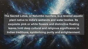 Exploring Indias Natural Jewels: Top 10 Native Flora You Cant Miss!