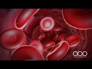 Inside the Arteries, red blood cells - 3D Medical Animation || ABP ©