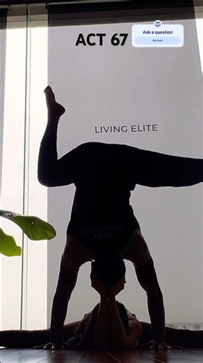 Acro yoga || handstands acro tutorial || #acroyoga #acrobatics #elitefitness #india #vietnam