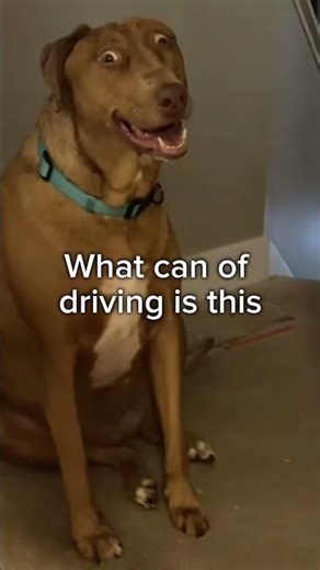 car crash studio #roblox #aeroblox #robloxedit #crash