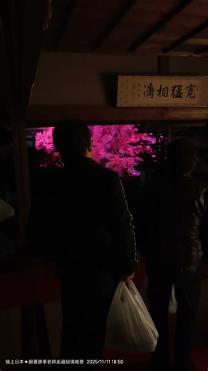 20251111 岐阜縣山県市「夜の東光寺」秋の特別拝観ライトアップ，第一關是水晶球倒影，有專人指導怎麼拍