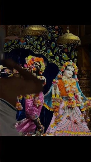 100 Problems One Solution – Radhe Krishna 🦚🌺|#shorts #radheradhe #trending #shortsfeed