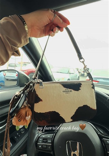 Must-Have Coach Nolita 19 Purse Review