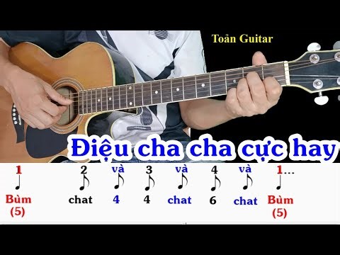 Hướng dẫn điệu Cha cha cha Guitar cực dễ tập cho anh em mới tự học guitar đệm hát - Toản Guitar