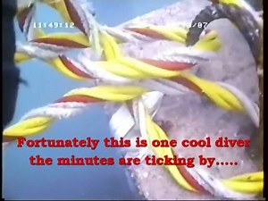 16K views · 118 reactions | Bad day at the office! | Professional Diving Academy | Facebook