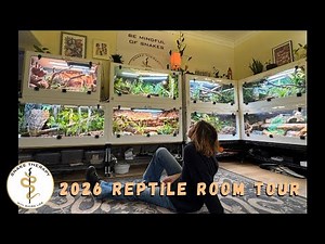 Reptile Room Tour 2026! Year of the Snake In Review @ Snake Therapy HQ