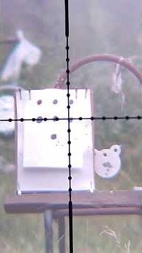 4 shot group at 50 yards with my avenger #airgun #airgunshooting #airgunworld #airgunlife