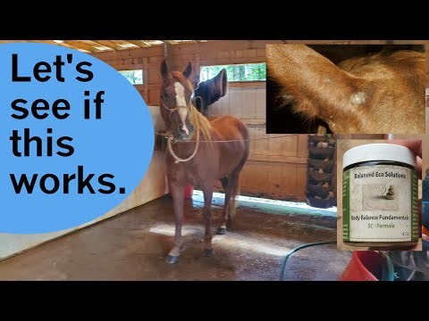 Sarcoid treatment