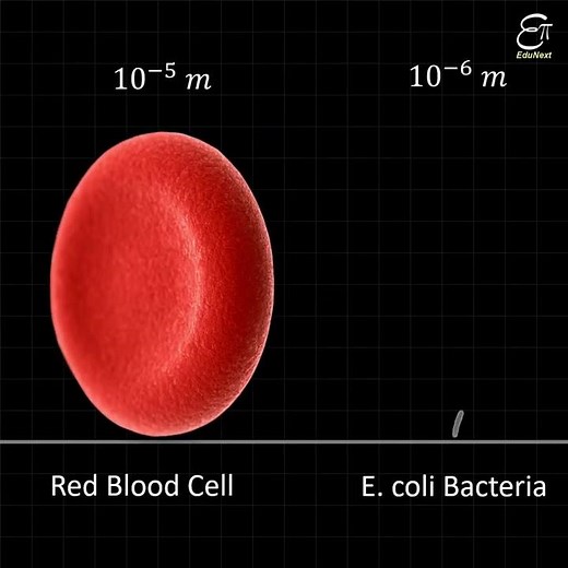 How small is an ATOM #Shorts