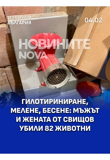 Прокуратурата повдигна обвинения на двамата задържани в свищовското село Царевец за жестокост към животни. Смята се, че те ги измъчвали, заснемали издевателствата и продавали клиповете. Според разследващите такова видео се продавало по 4–5 хиляди евро в тъмната мрежа. От 2013 г. досега двамата умъртвили 82 животни, твърди обвинението. #избирамбългария #izbirambulgaria