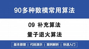 86 量子退火算法 模型代码超详细讲解！可运行代码演示！案例解析！90 数学建模常用算法！