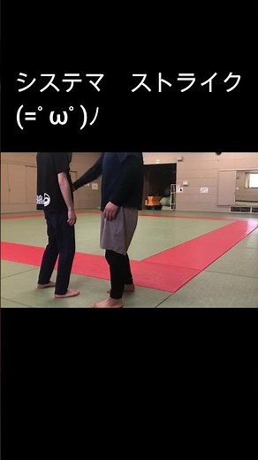 システマ ストライク