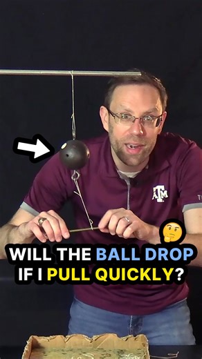TAMU Physics & Astronomy on Instagram: "Will the ball drop if I pull quickly? ⬇️🤔 A heavy ball has a hook on its top and bottom. The ball is hung by a light string through the top hook from a metal rod. The string is light enough that if the ball is dropped the mass will snap the string. A second string is attached to the bottom hook. A second metal rod is then inserted into a loop on the bottom string. If the second metal rod is pulled down slowly, the top string will break and the ball will f