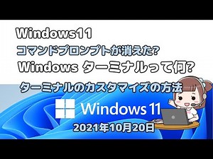 Windows11Windows ターミナルって何ターミナルのカスタマイズの方法