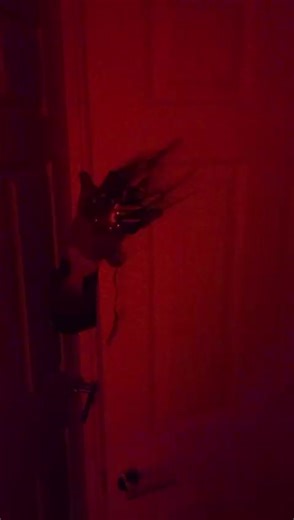 VMware Licensing Changes: A Real Horror Story for Businesses | Chris Beattie posted on the topic | LinkedIn