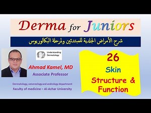 026 Skin Structure and Function