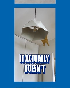 Here’s one less thing for cats to turn their noses up at. Fresh Step’s NEW Heavy Duty Litter with 30-Day Odor Control | Fresh Step Litter