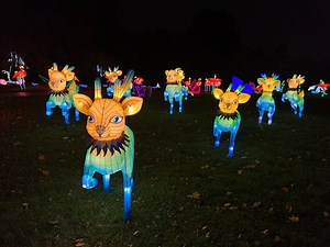 NYC Winter Lantern Festival 2021: Is it open for Christmas, New Year’s?