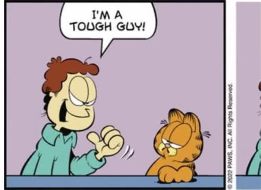 Garfield no #garfield #jon #meme #voiceover #comic