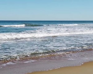 Get in! The water is just fine! | Outer Banks Blue Vacation Rentals