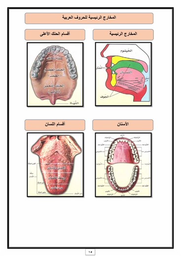 مخارج الحروف | التجويد الميسر للقرآن
