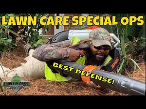 DEFEND your plant beds from WEED INVASION | long needle pine straw
