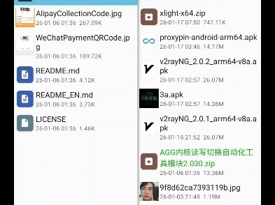 AGG修改器傻瓜式对接内核，通杀搜索检测，小白一看就会。