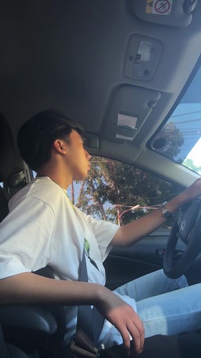 Driving Lessons for School Boys: Safe Techniques